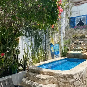 https://caribo-cozumel.quintano-roohotels.com