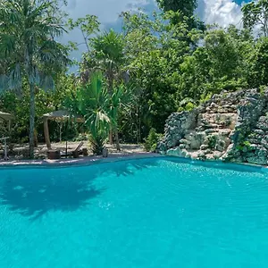 https://jolie-jungle.quintano-roohotels.com